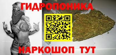 гидра Тверь